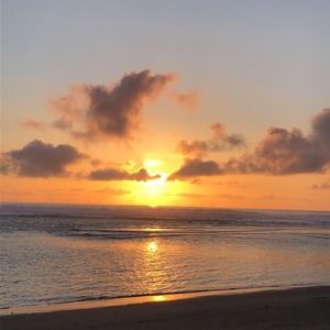 Meet your Posher, Stevie